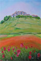 Papaveri a Castelluccio