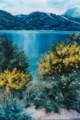 Sentiero sul lago